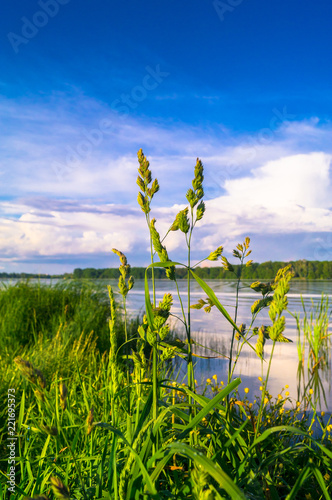 Summer evening landscape on the Lake Biserovo, Moscow region, Russia. photo