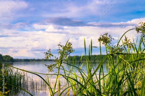 Summer evening landscape on the Lake Biserovo, Moscow region, Russia. photo