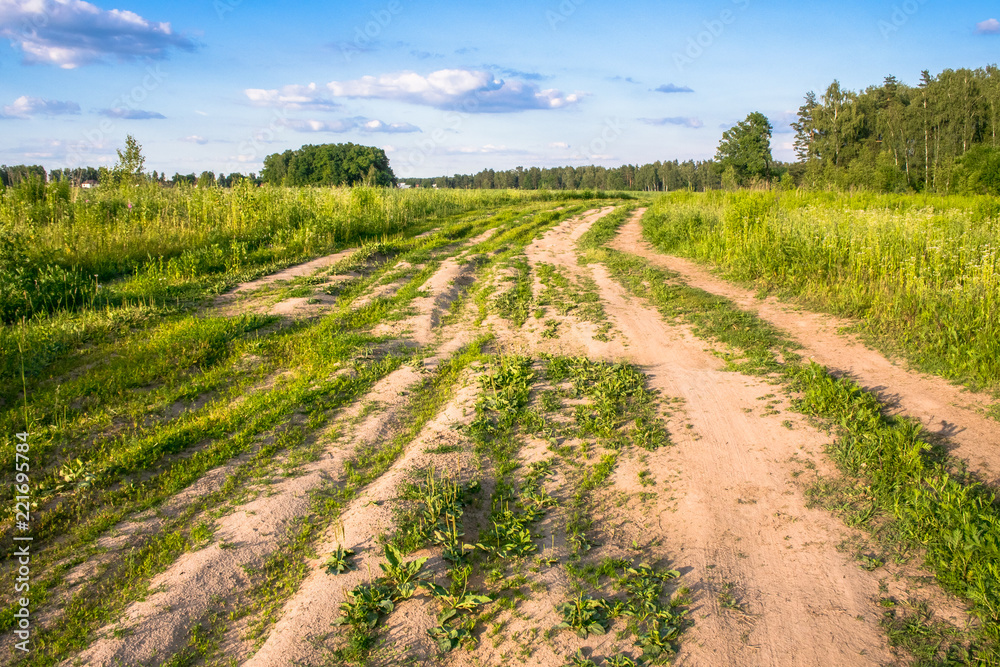 Summer countryside landscape. Deserted rural dirt road along the forest, Moscow suburbs, Russia.