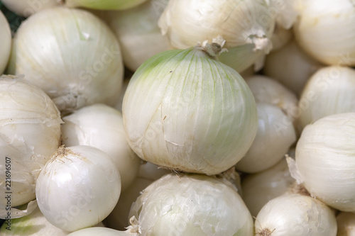 Heap of fresh ripe white onion without husk.