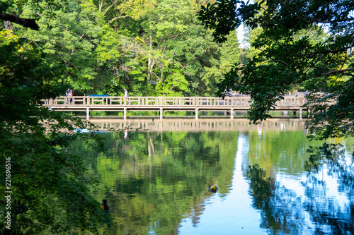 公園にある橋