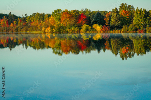 autumn landscape trees reflection in lake 