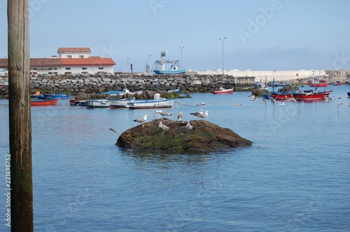 NUESTRO SITIO