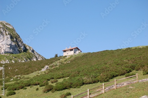 REFUGIO
