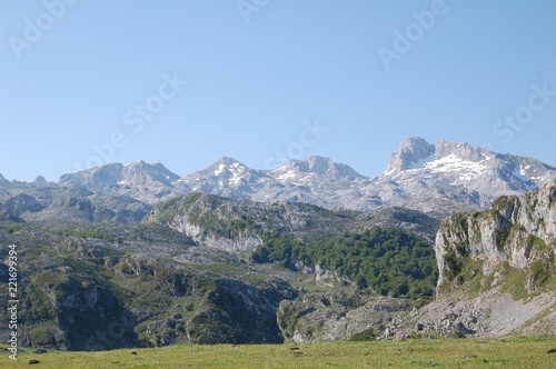 PICOS