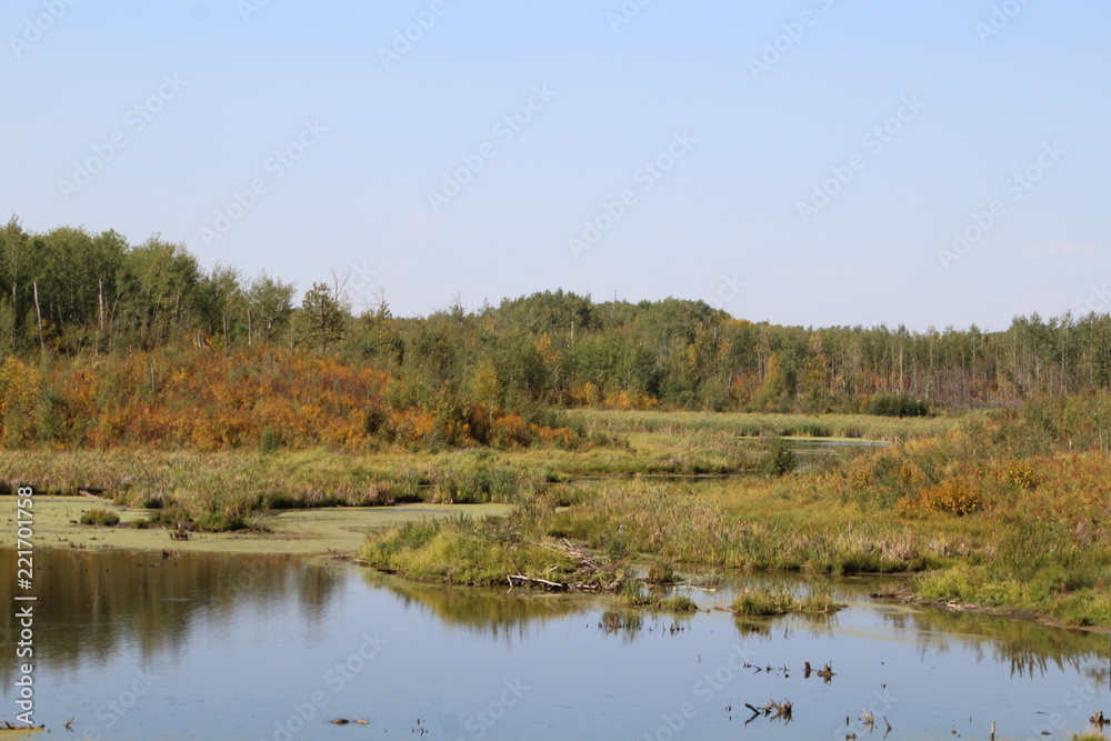 The Changing Colors, Elk Island National Park, Alberta The Changing Colors, Elk Island National Park, Alberta
