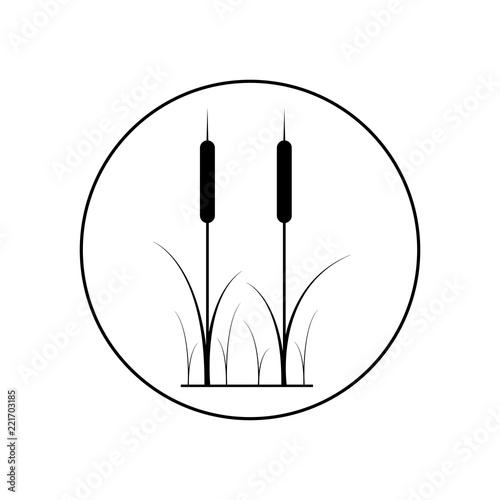 Reeds plant outline icon in circle, logo on white background