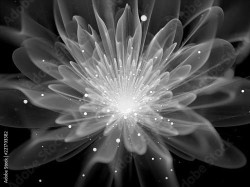 Glowing fractal flower black and white