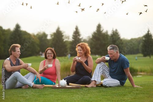 Fototapeta Naklejka Na Ścianę i Meble -  Mature people chatting together outdoor in the park. Drinking tea sitting on the grass. Flying birds.