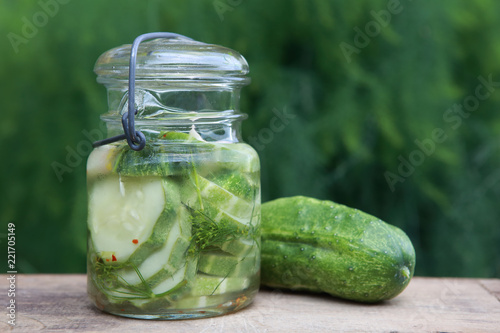 Refrigerator cucumber pickles in a jar against a green dill background