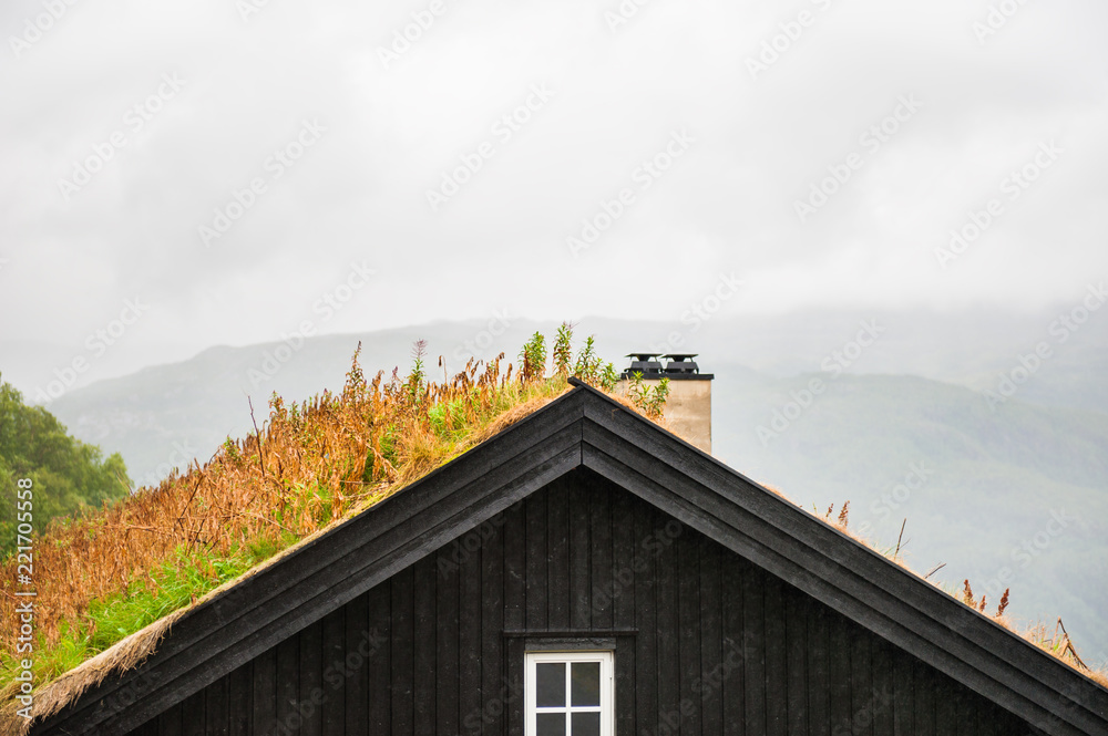 Traditional norwegian wooden house with grass roof. Summer landscape, Norway