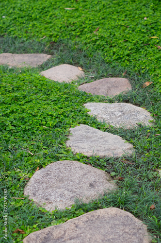 Rock Pathway on green lawn.