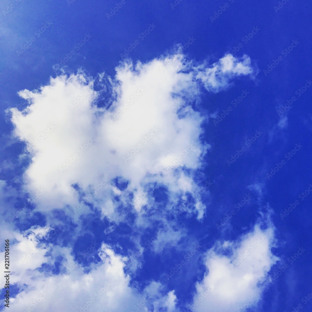 Obraz premium 北海道の見上げた空