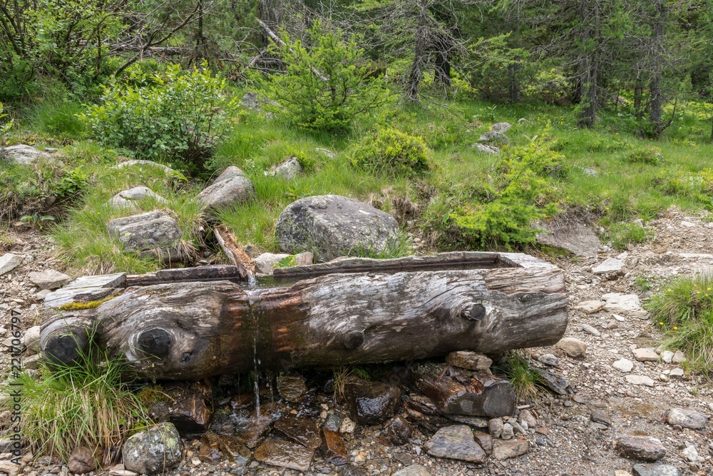 Maroder verwitterter Holztrog für Quellwasser, Österreich Maroder verwitterter Holztrog für Quellwasser, Österreich