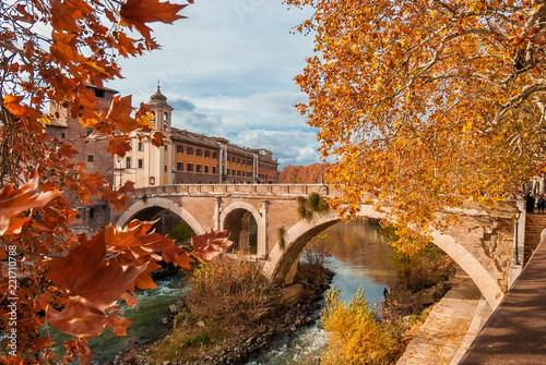 Autumn and foliage in Rome. Red and yellow leaves near Tiber Island with ancient roman bridge, in the city historic center