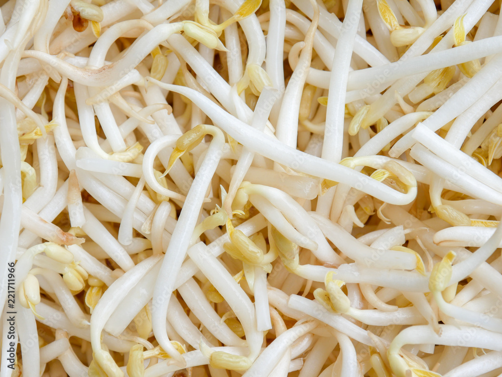 food background texture mung bean sprout