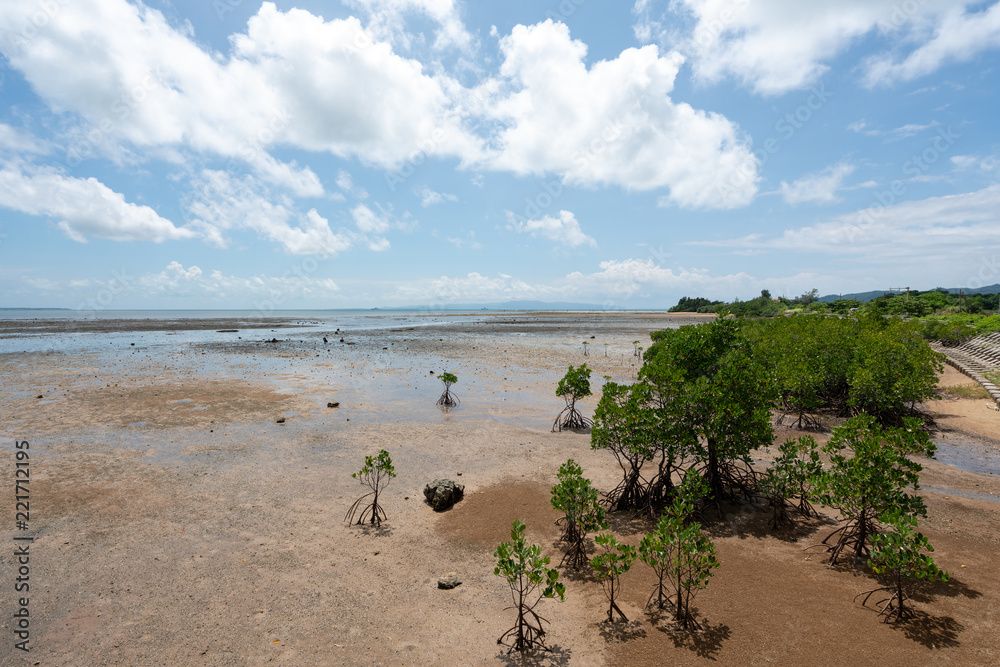Landscape of Nagura Bay at low tide of Ishigaki Island in Okinawa, Japan. (石垣島 名蔵湾(干潮時)) Landscape of Nagura Bay at low tide of Ishigaki Island in Okinawa, Japan. (石垣島 名蔵湾(干潮時))