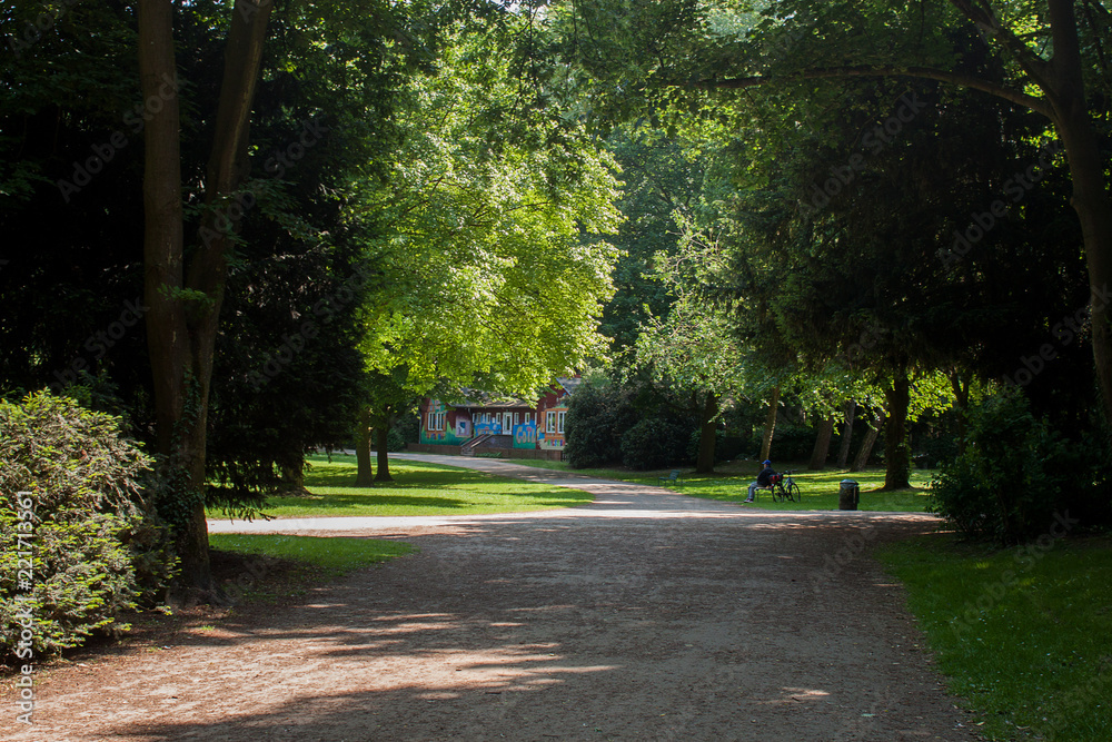 Beautiful park scene Beautiful park scene