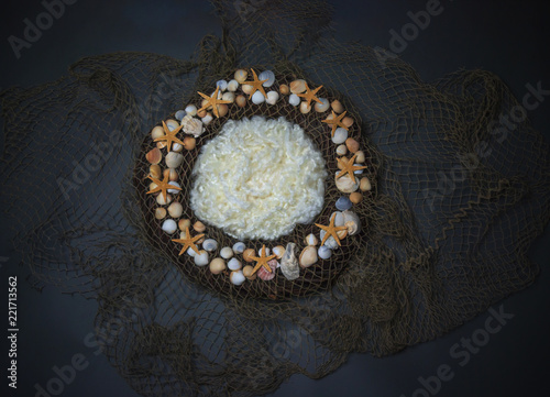 Sea shells and net Newborn photography digital background prop