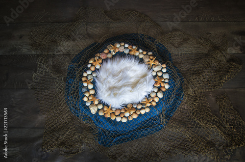 Fish net and seashell Newborn photography digital background prop.