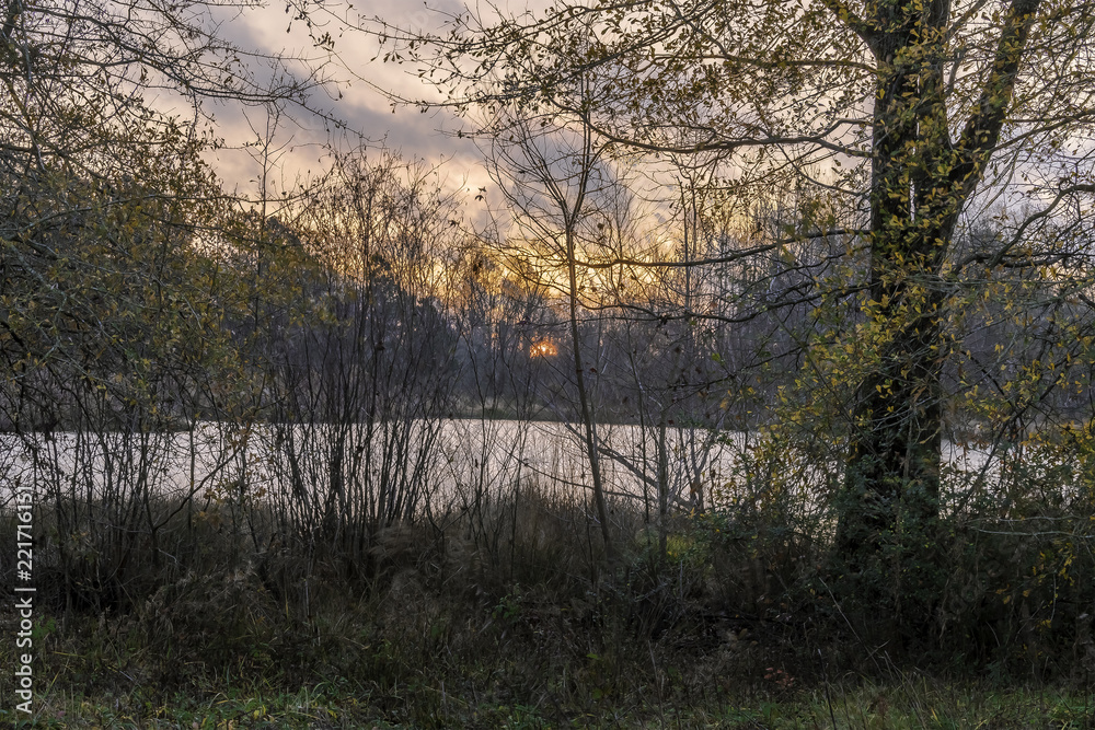 sunrise at pond