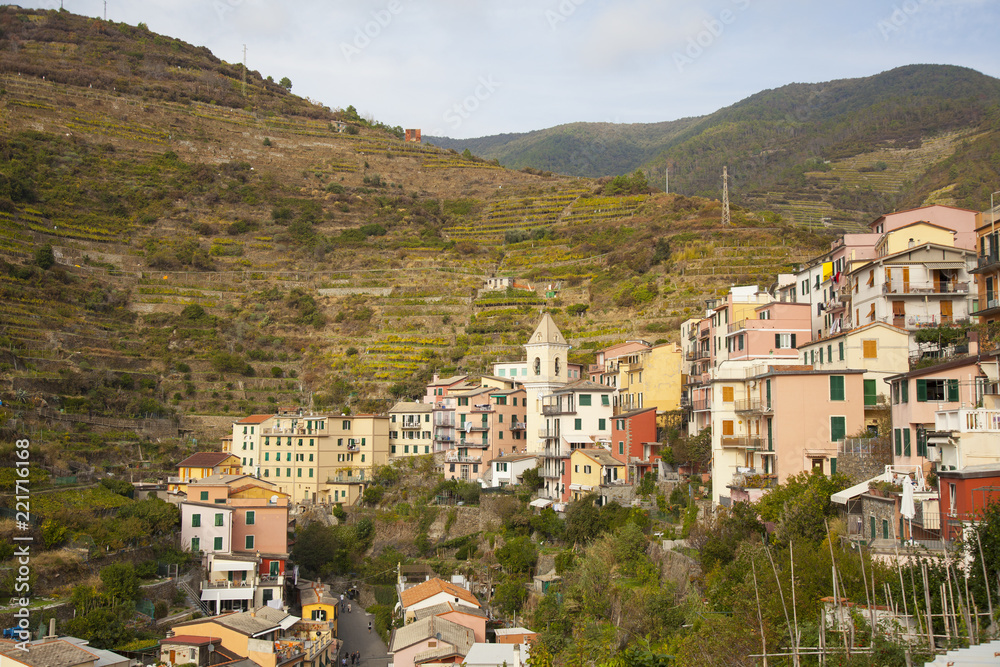 Fototapeta premium view over Manarola hillside