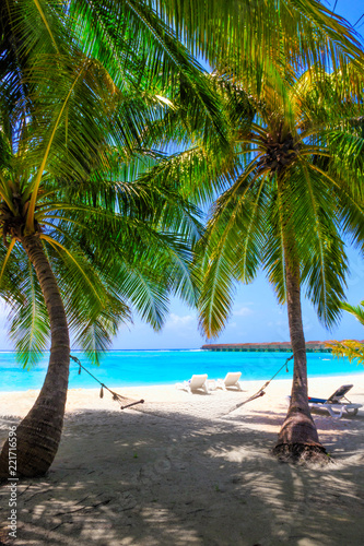 Fototapeta Naklejka Na Ścianę i Meble -  Vacation on palm beach in the Maldives with hammock