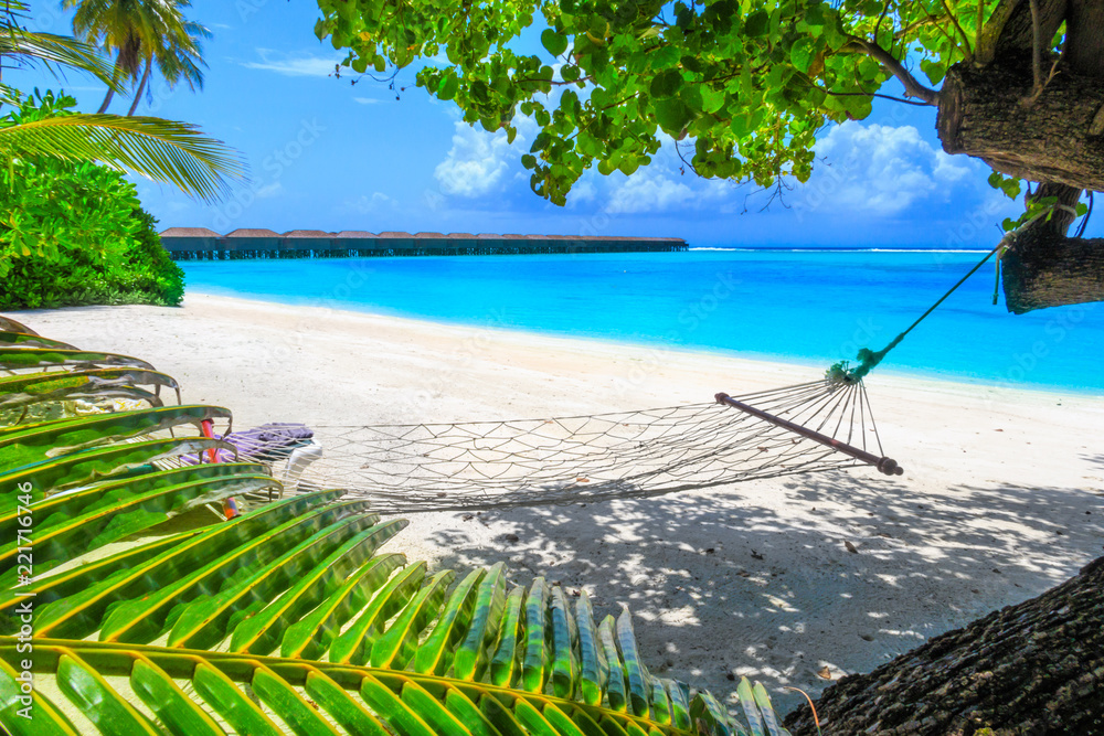 Vacation on palm beach in the Maldives with hammock