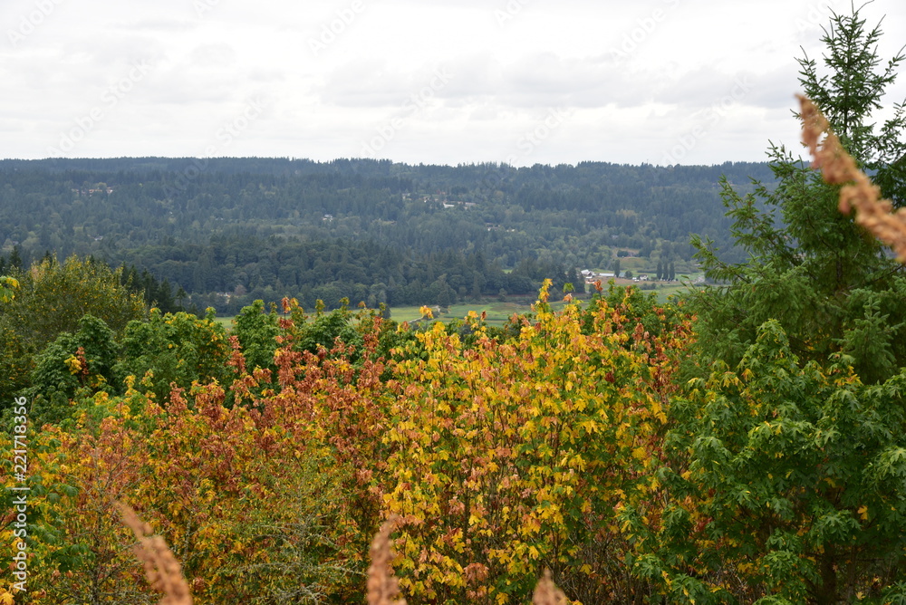 fall landscape from hilltop