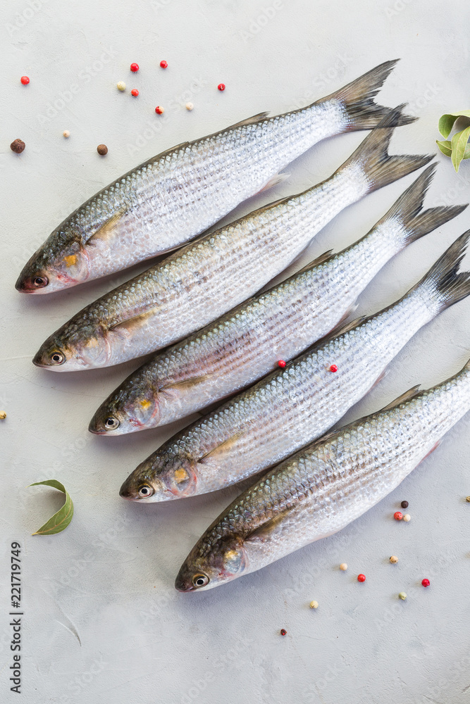 Fish, fresh mullet, gray background, catch, close-up Fish, fresh mullet, gray background, catch, close-up