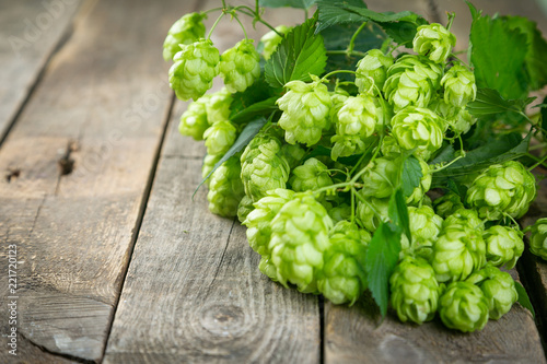 Branches of hops on wood background with copy space