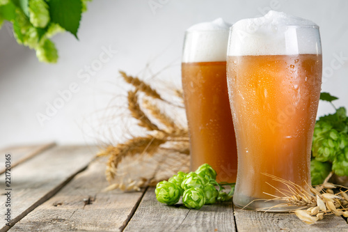Beer and ingredients hops, wheat, barley on wood background, copy space