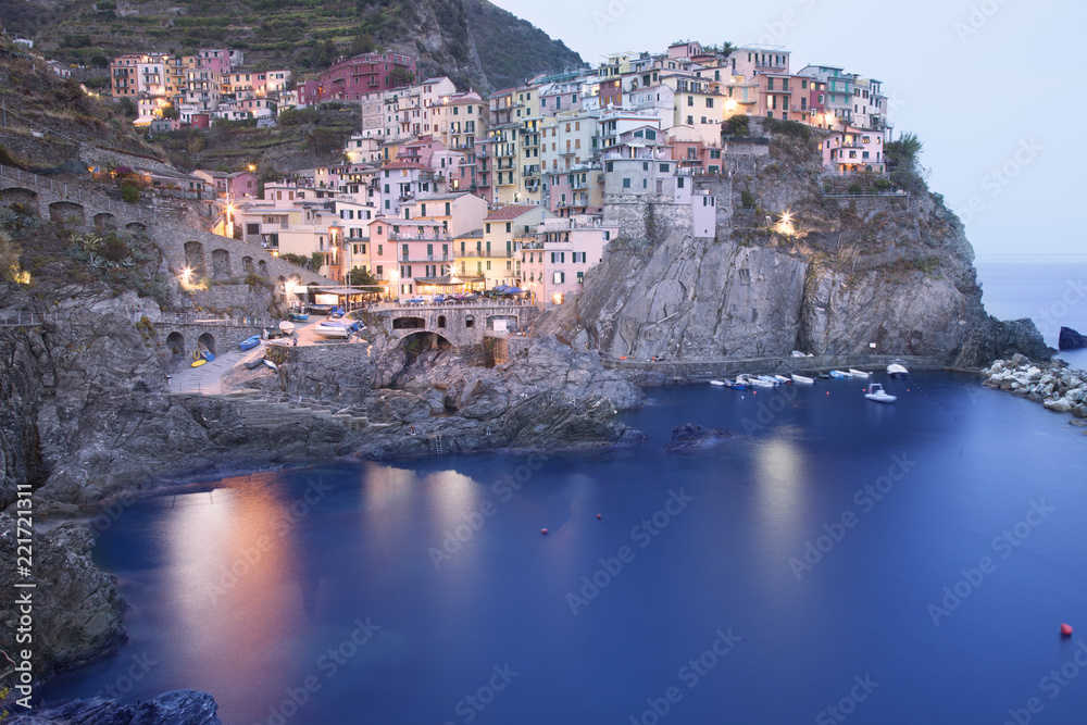view of the town of manarola and the harbour in cinque terre, italy