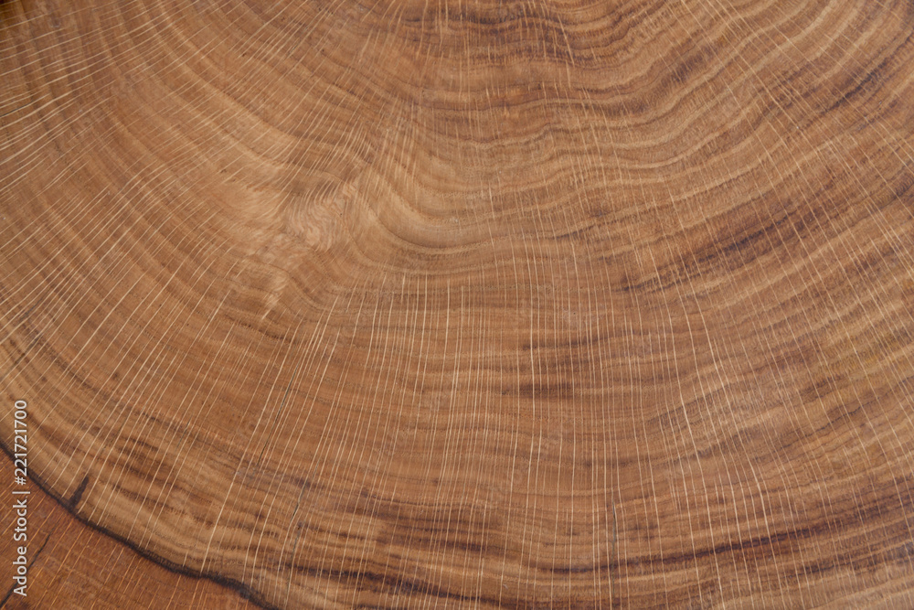 Tree cut. Wooden texture of the cut-off tree.Wooden background, Abstract background.The internal rings structure of the tree. Tree cut. Wooden texture of the cut-off tree.Wooden background, Abstract background.The internal rings structure of the tree.