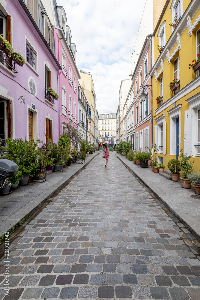 Fototapeta premium Typical french houses