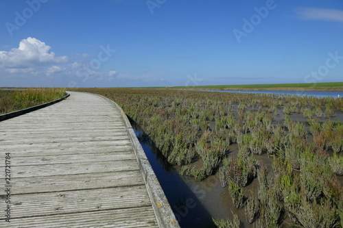 Rundweg Langwarder Groden