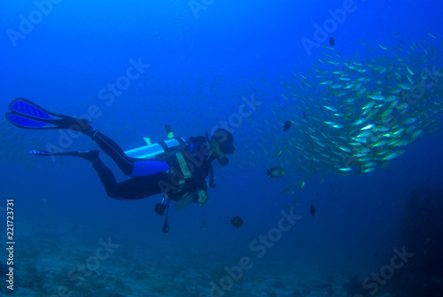 Scuba Diver with yellow fish underwater