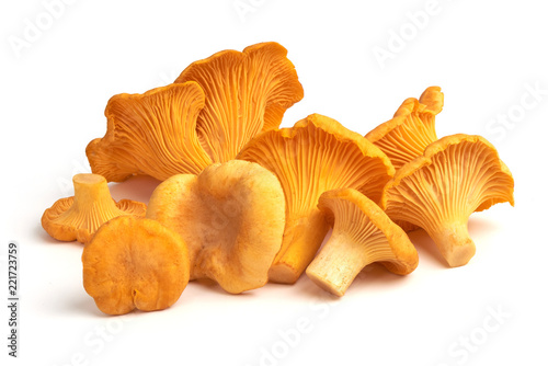 Raw fresh chanterelles mushrooms, isolated on white background