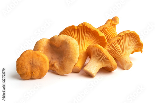 Raw fresh chanterelles mushrooms, isolated on white background.
