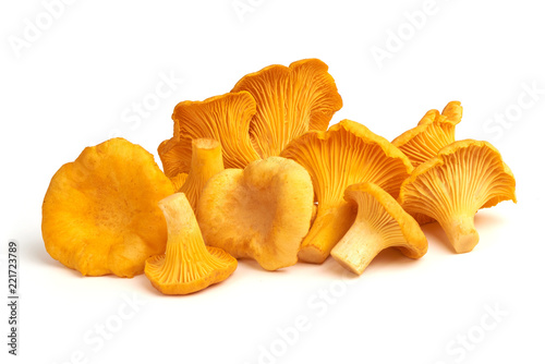 Raw fresh chanterelles mushrooms, isolated on white background. photo