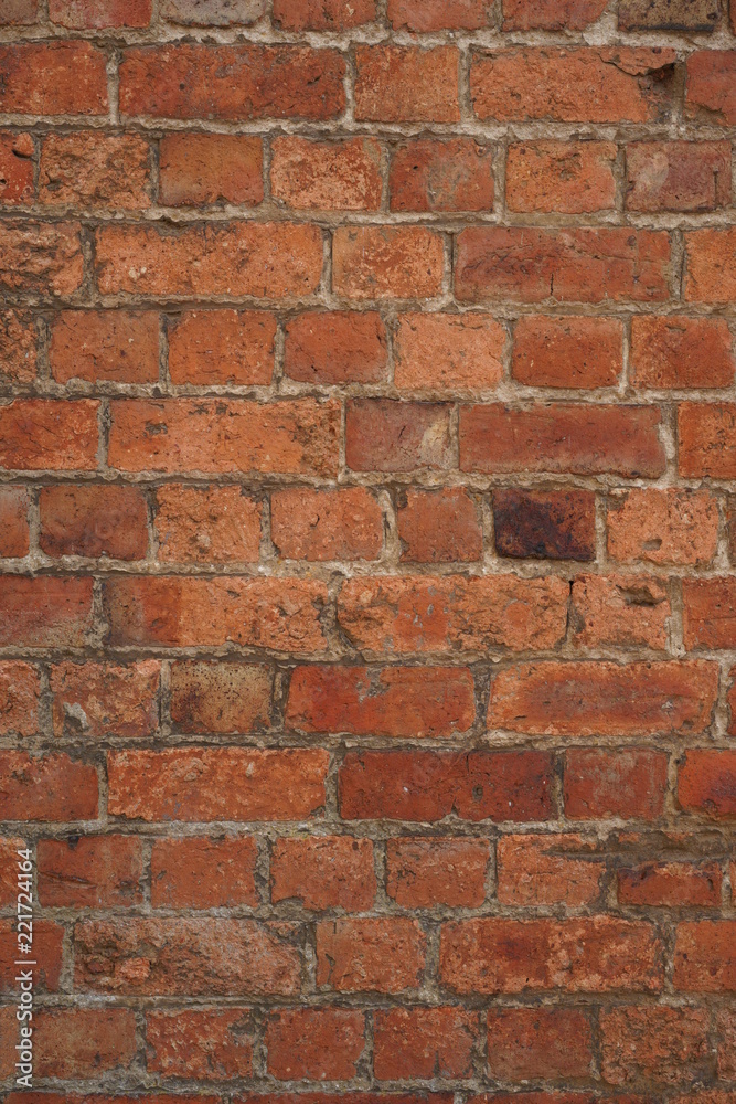 Obraz premium Texture