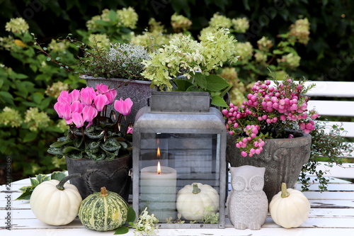 garden decoration with autumn flowers, pumpkins and candle