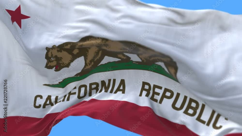 4k seamless Close up of California Republic Flag slow waving with visible wrinkles.A fully digital rendering,The animation loops at 20 seconds.flag 3D animation with alpha channel included.