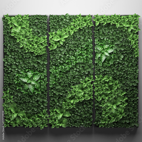vertical gardening, green wall