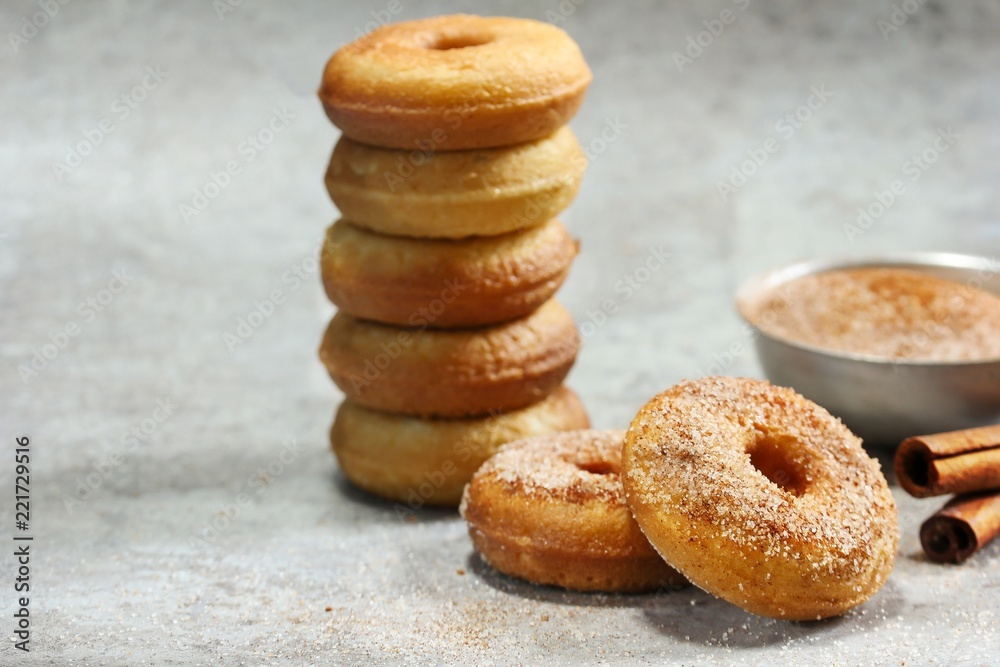 Homemade Mini Cinnamon Sugar Donuts / Cake Doughnuts Homemade Mini Cinnamon Sugar Donuts / Cake Doughnuts