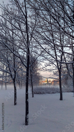 Foggy snow-covered park with a house