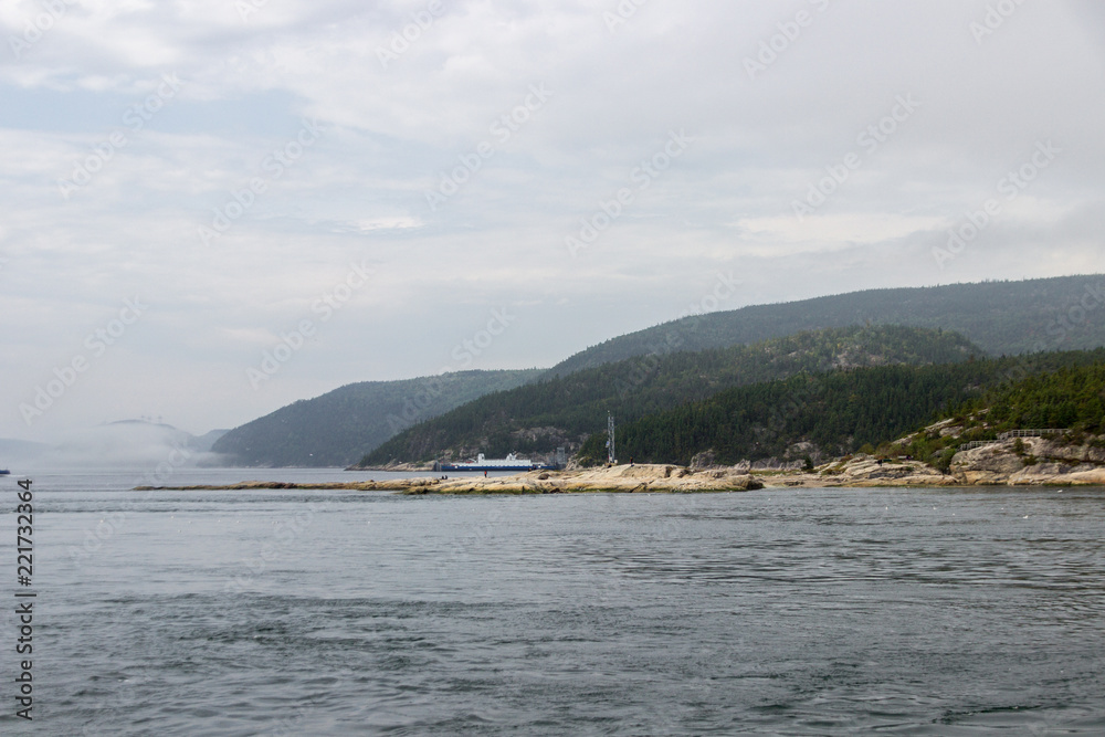 Whale watching in Tadoussac