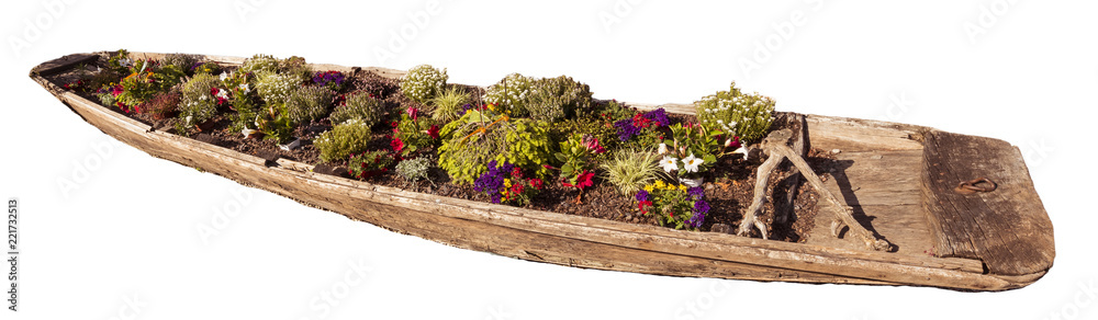 Fototapeta premium A summer flowerbed in an old skipper boat. Baden Baden, Baden Wuerttemberg, Germany