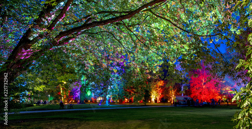 Obraz na płótnie last night in the enchanted forest - the magic park w salonie
