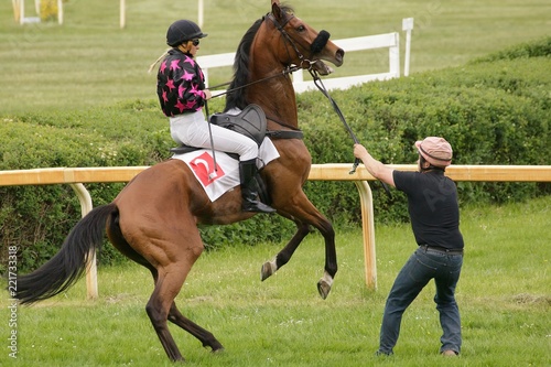 A jockey hanging on tight while her horse rearing up